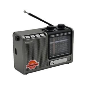 Radio Fm+ Mp FP-539